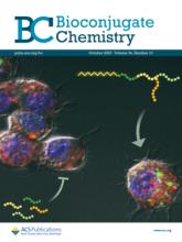 Front page of Bioconjugate Chemistry