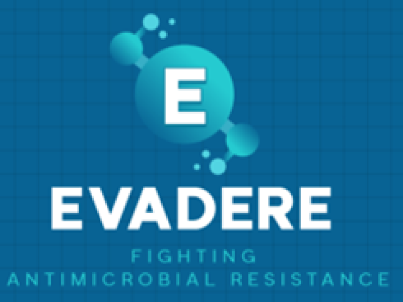 evadere_202026.png
