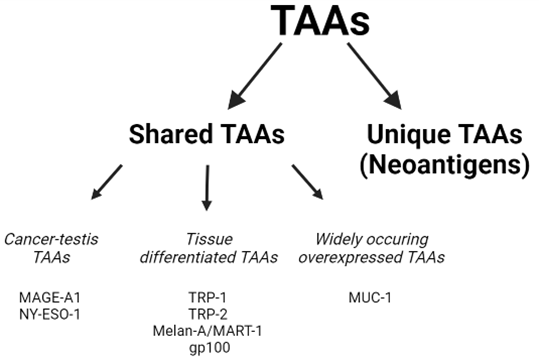 Melanoma-specific peptides and peptide derivatives